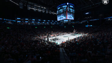 Barclays Center crowd cheering on the NY Liberty